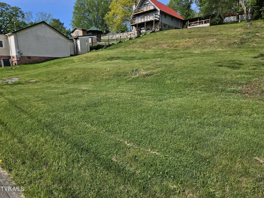 Picture 2