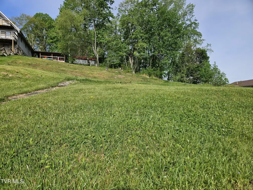 Picture 6