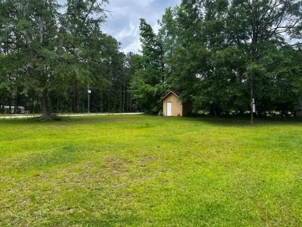 Picture 5