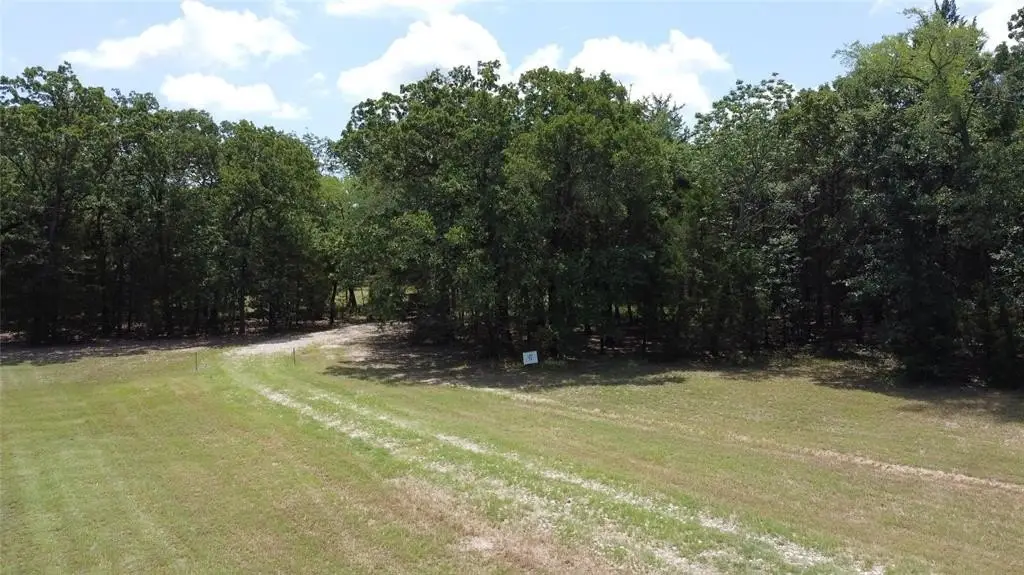 Picture 19