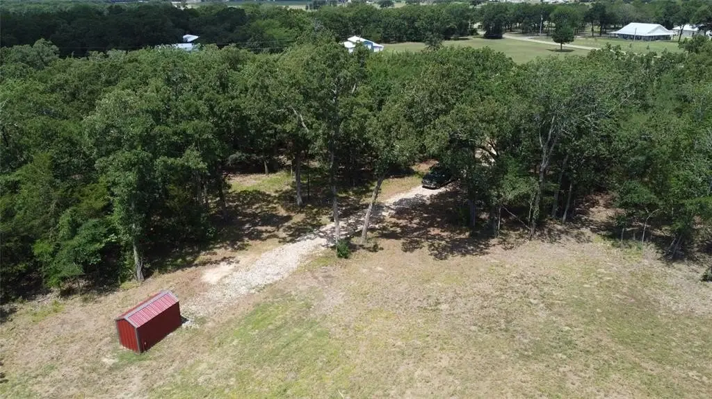Picture 14