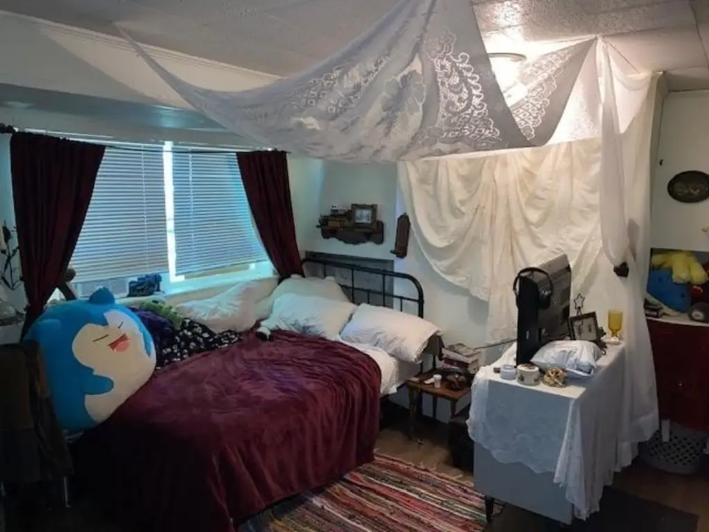 Picture 17