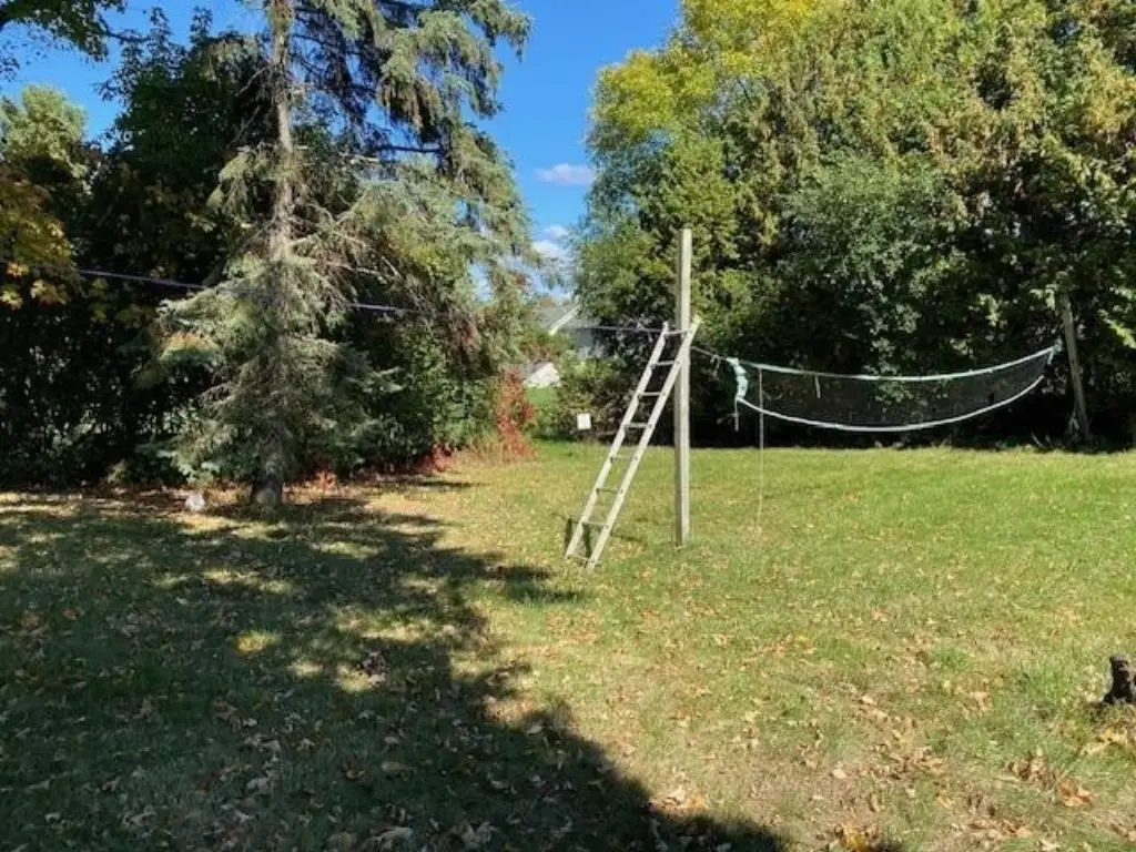 Picture 7