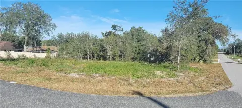 Residential Lot in Summerfield, FL