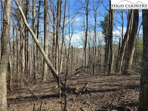 7.37 Acres in Parkway Estates