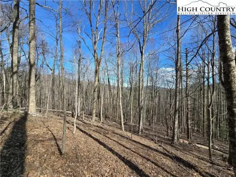 Laurel Springs Mountain View Land