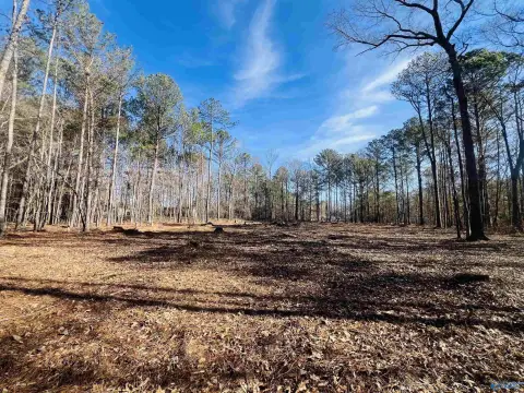 Hokes Bluff 4-Acre Property