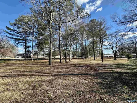 Attalla, AL Building Lot