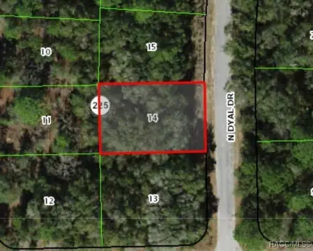 Citrus Springs Buildable Flat Lot