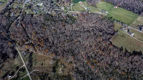 Secluded Wooded Land For Sale