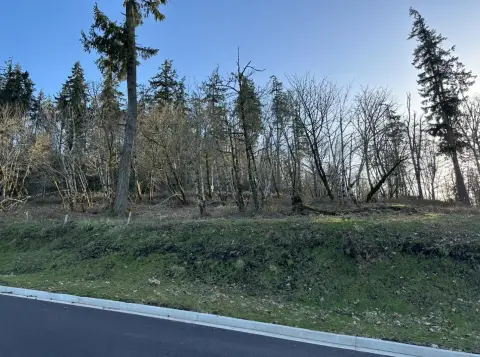 Residential Lots in Moon Mountain