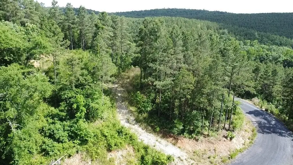 Picture 8