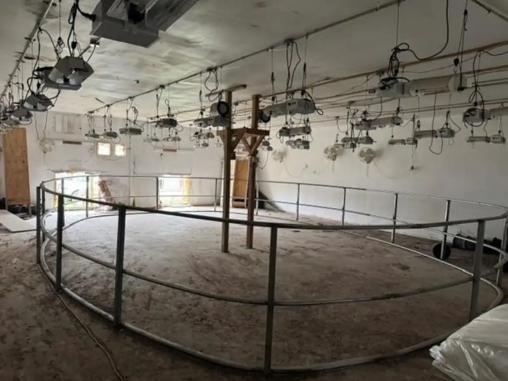 Picture 16