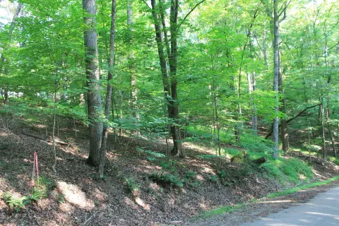 Wooded Lot in Gated Community