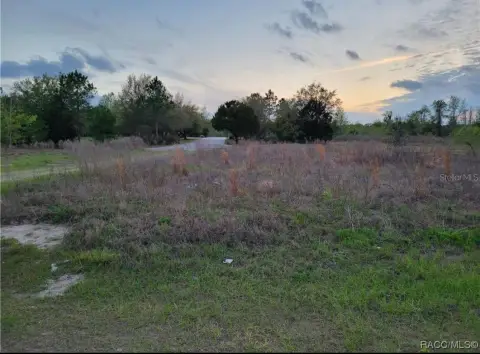 Cleared Land Near Rainbow River