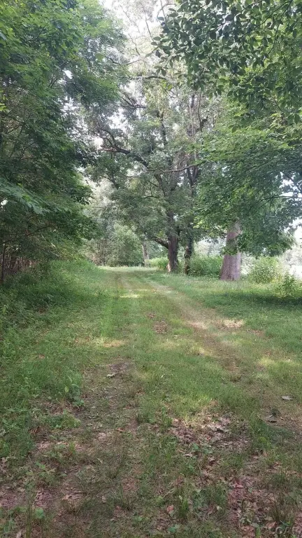 Picture 27
