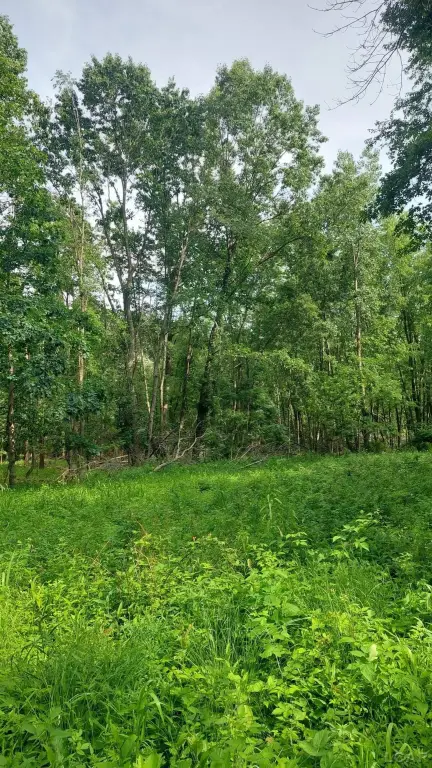 Picture 23