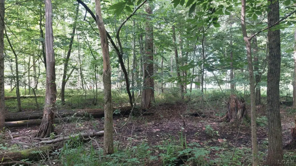 Picture 15