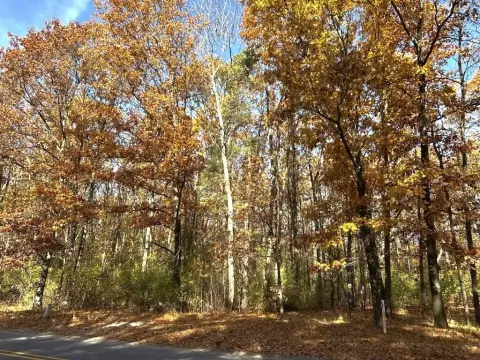 Wooded Land Parcel in Lowell