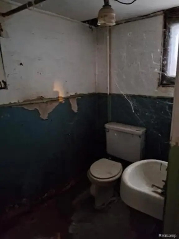 Picture 21