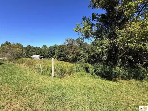 Burkesville Acreage Near Dale Hollow