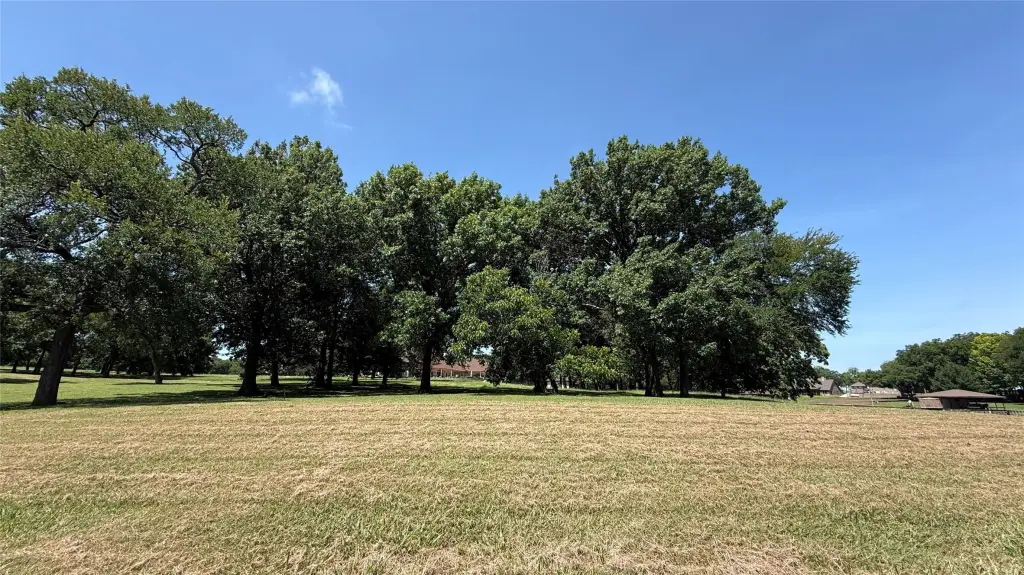Picture 25