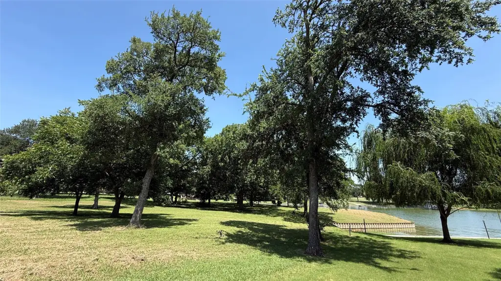 Picture 13