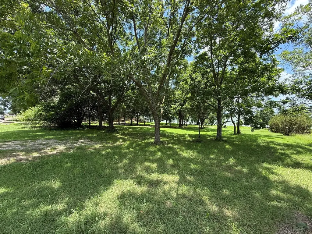 Picture 20