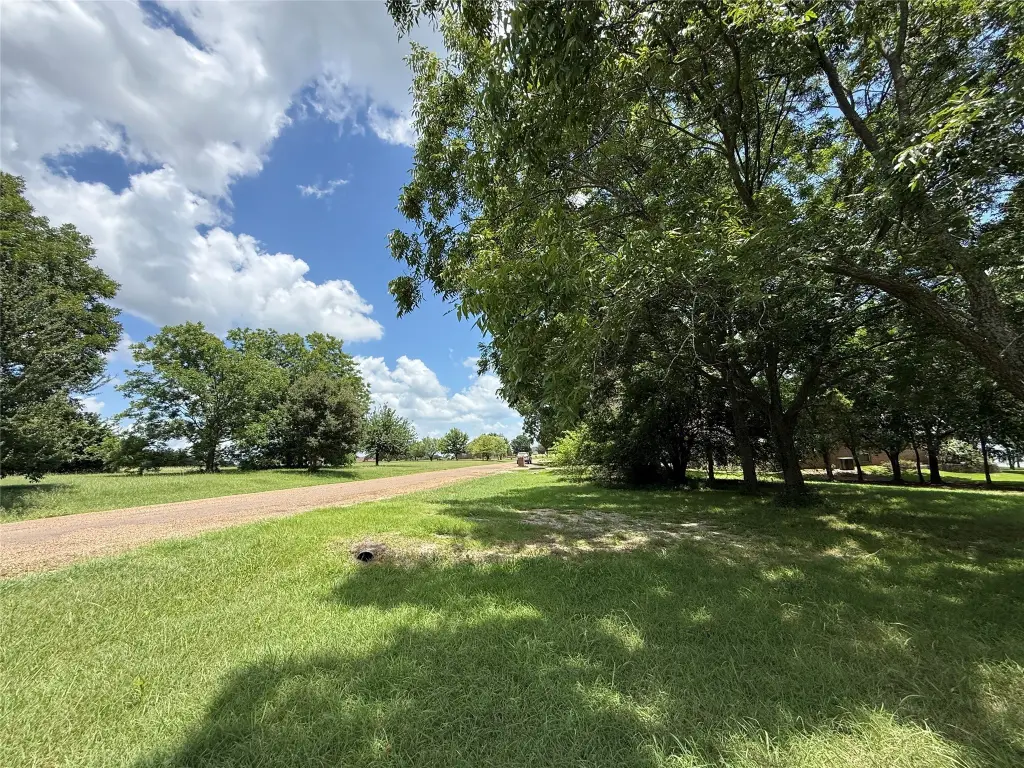 Picture 32