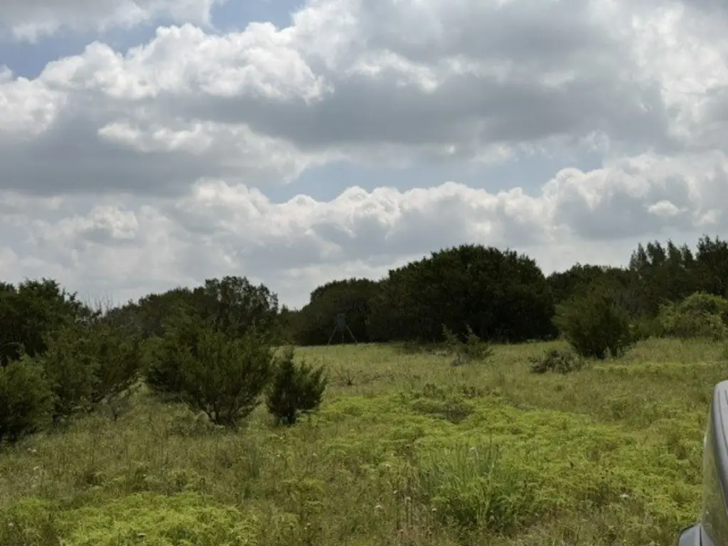 Picture 33