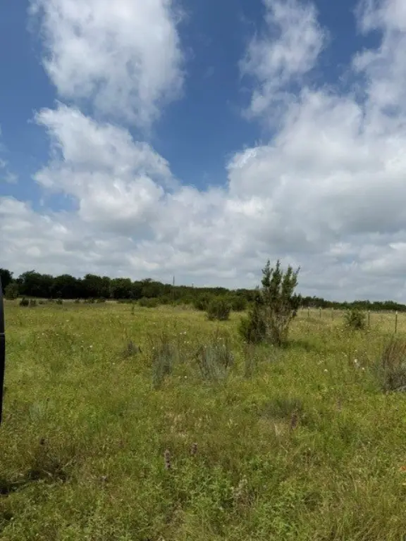 Picture 30