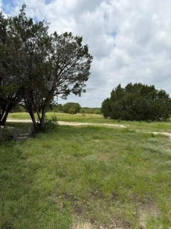 Picture 21