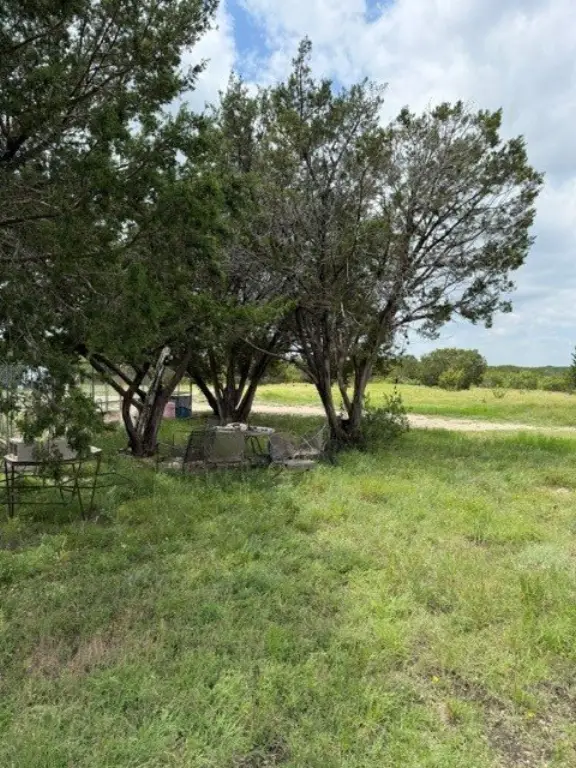 Picture 20