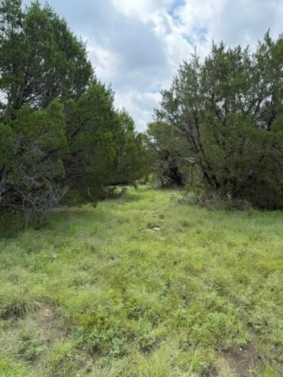 Picture 29