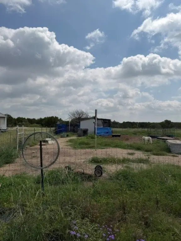 Picture 26