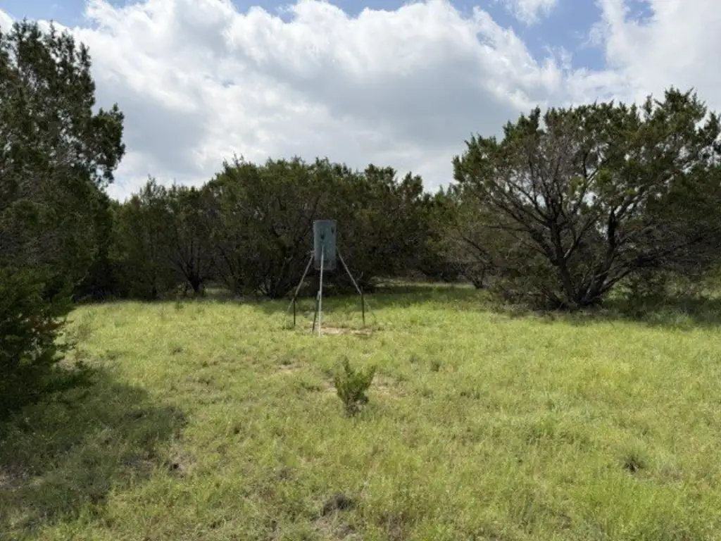 Picture 38