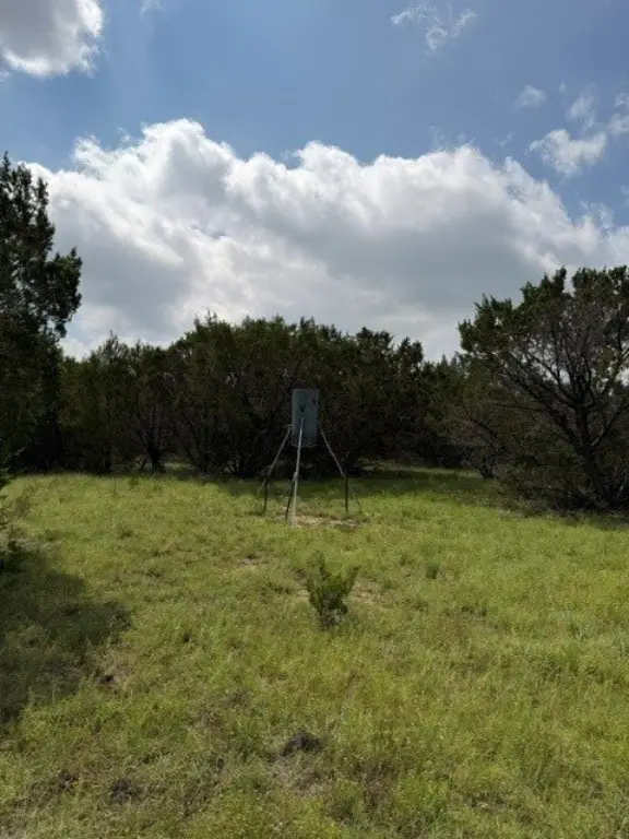 Picture 39