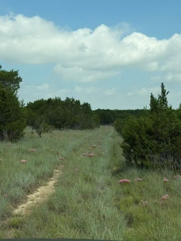 Picture 40