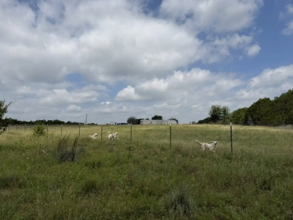 Picture 31