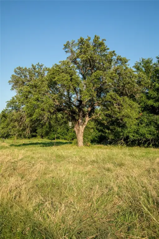 Picture 16