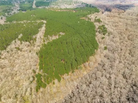 Wooded Land Near Bodcau Creek