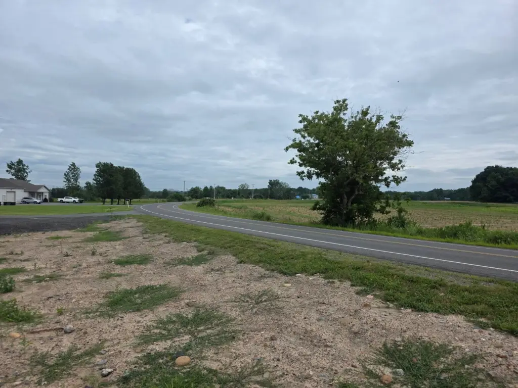 Picture 5