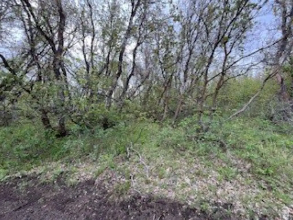 Picture 12
