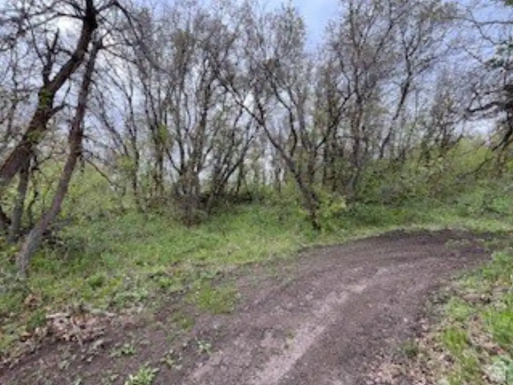 Picture 13