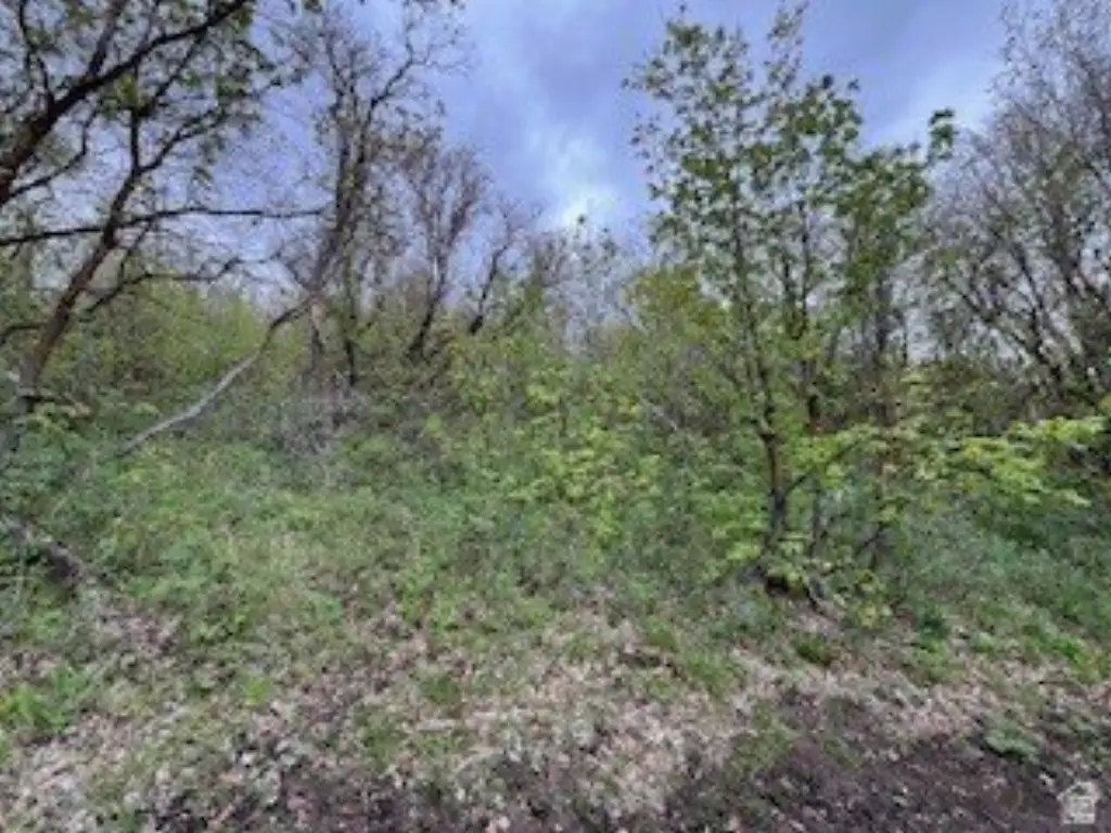 Picture 11