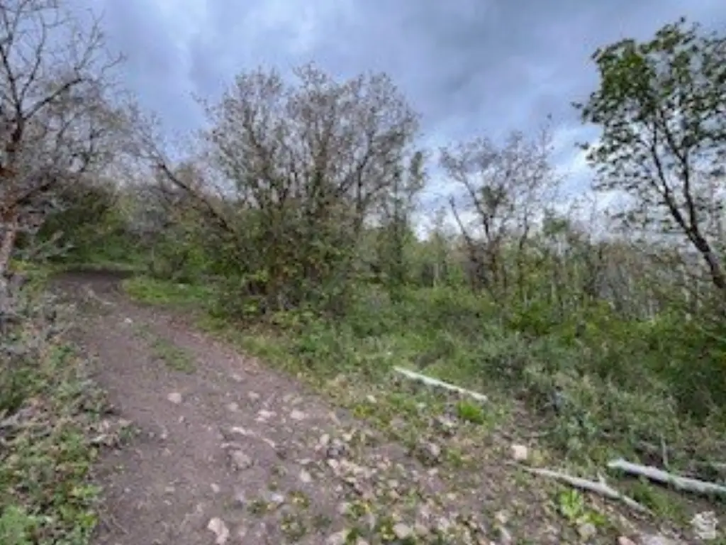 Picture 19