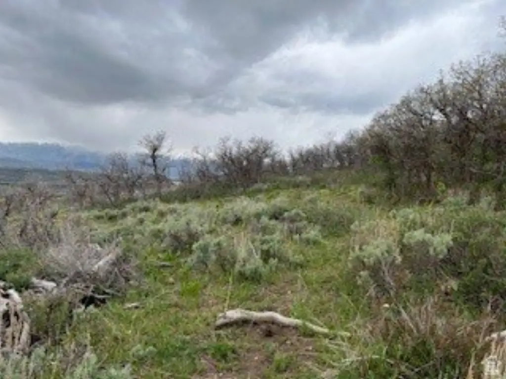 Picture 7