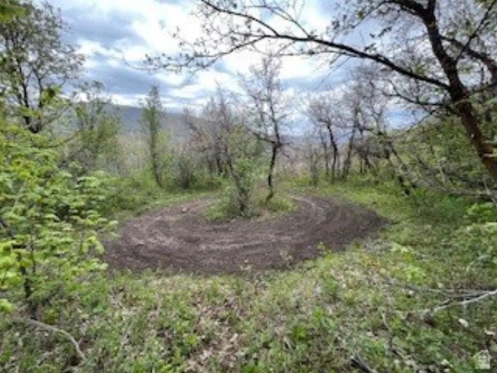 Picture 9