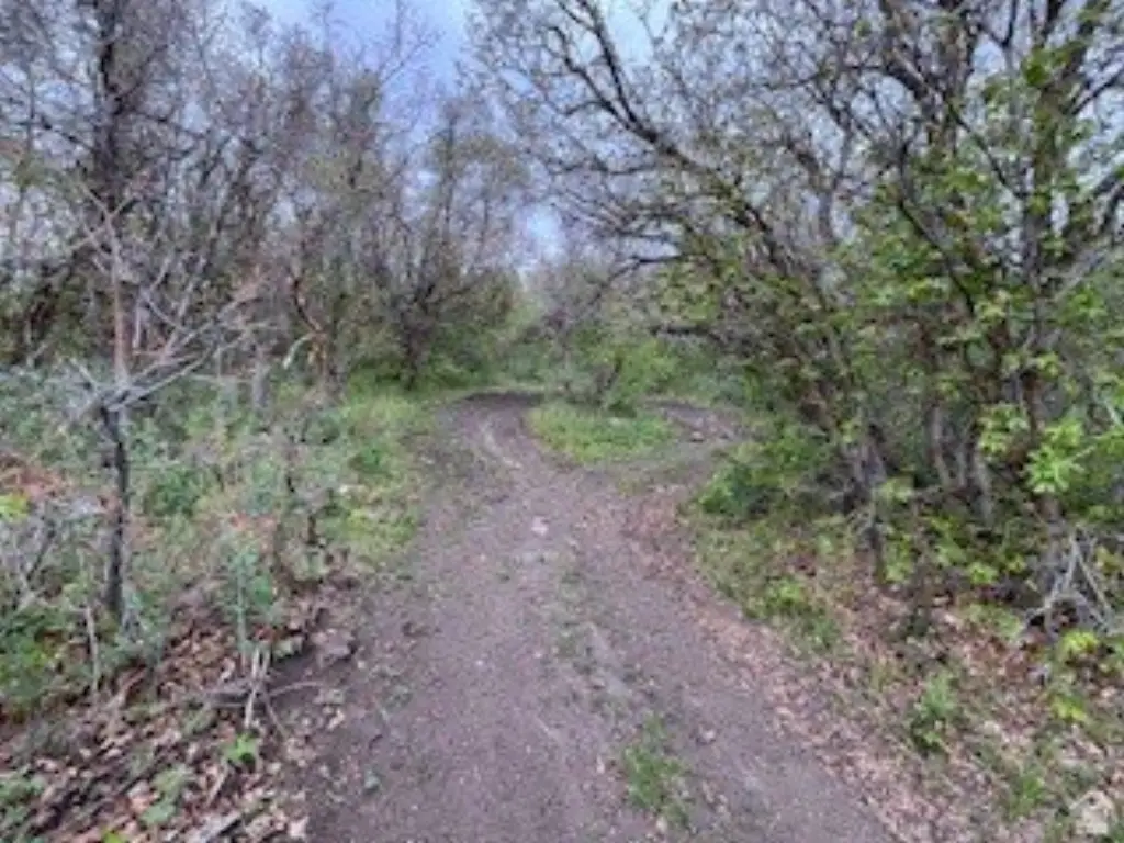 Picture 16