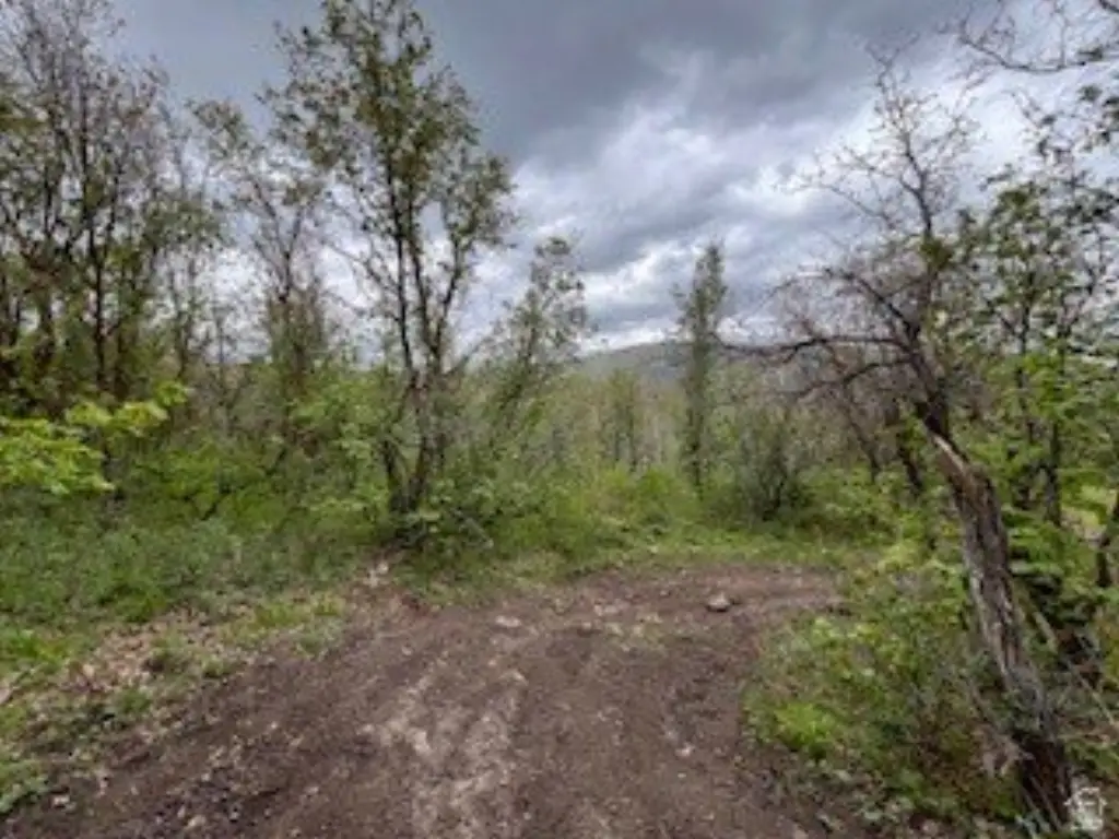 Picture 10